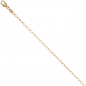 Preview: Weit-Ankerkette 585 Gelbgold 2 mm 50 cm Karabiner Gold Kette Halskette Goldkette